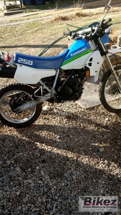 1989 kawasaki deals klr